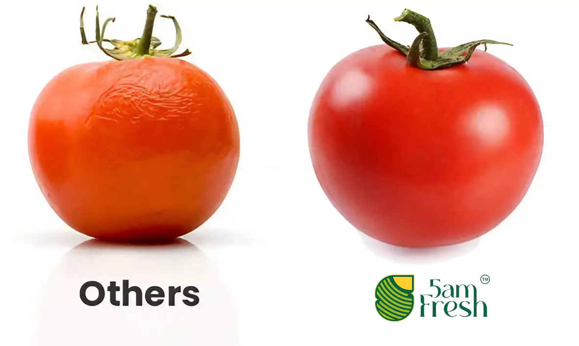 Fresh Vegetables Near Me